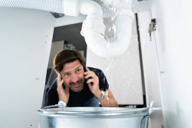 Best Plumbing Inspection Services  in Bunker Hl, IL